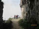 Foto n. 40