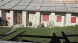 Foto n. 7