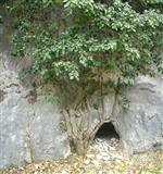 Foto n. 21