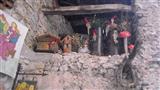 Foto n. 40