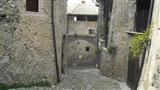 Foto n. 41
