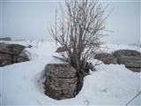 Foto n. 46